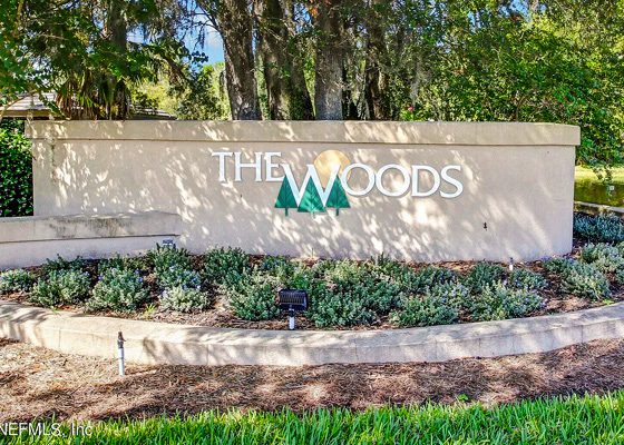 The Woods